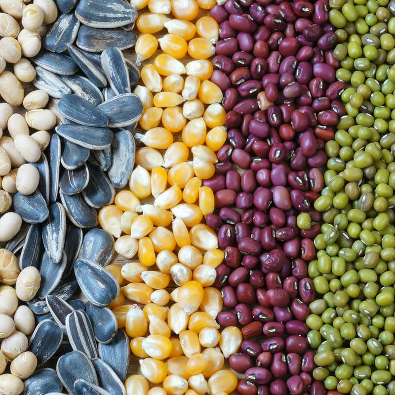 Automatska mašina za pakovanje semena